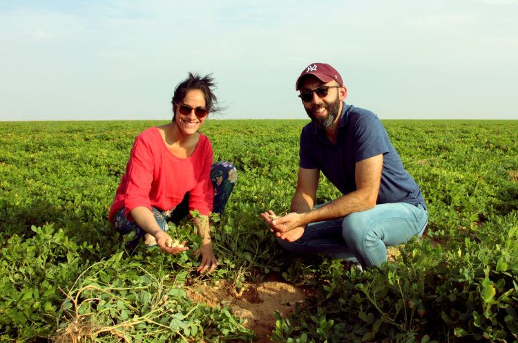 Raissa et Marc, fondateurs de Go Nuts dans un champ de cacahuètes bio équitables égypte