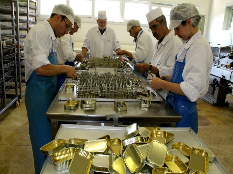 Les sardines et maquereaux sont mis en boite à la main