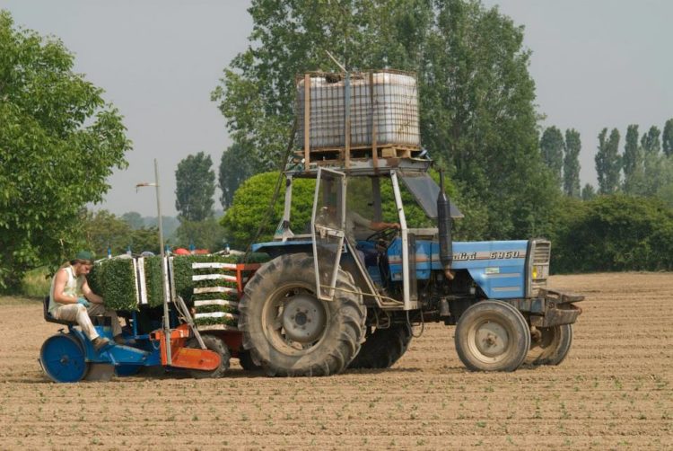 les cultivateurs italiens de la cooperative Iris