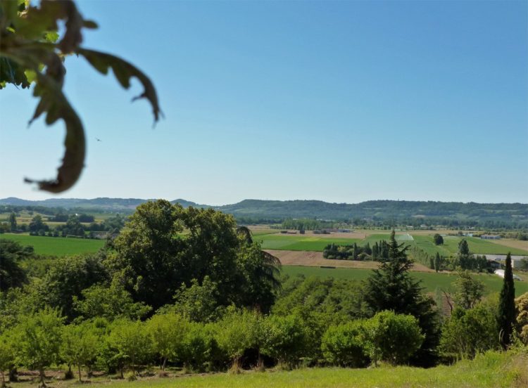 Vue sur les vergers de Bioloklock à Montpezan