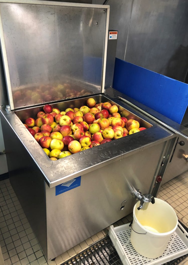 Cuisson des pommes bio