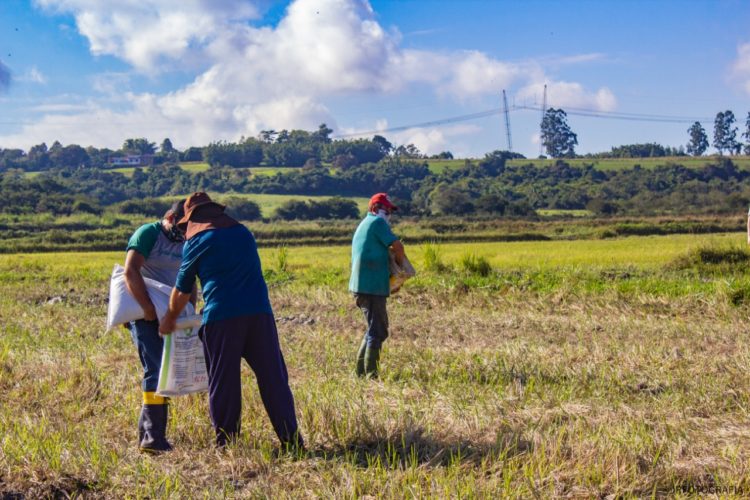 Les producteurs de la cootap