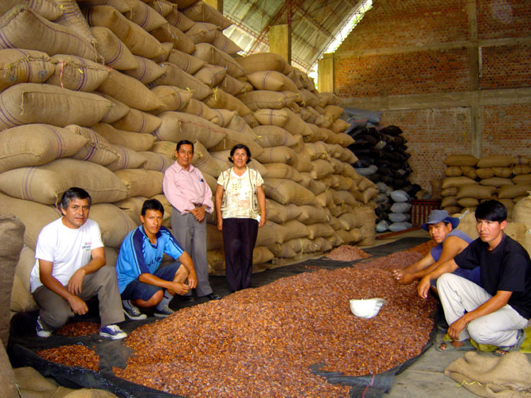Producteurs de cacao au Pérou