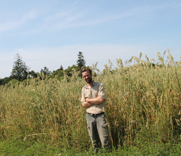 producteur de semences bio paysannes bretonnes graines de liberté