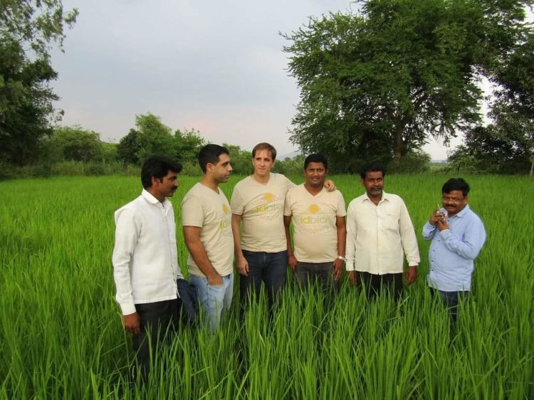 Christophe de ID-Bio dans un champ de riz basmati bio avec des producteurs indiens