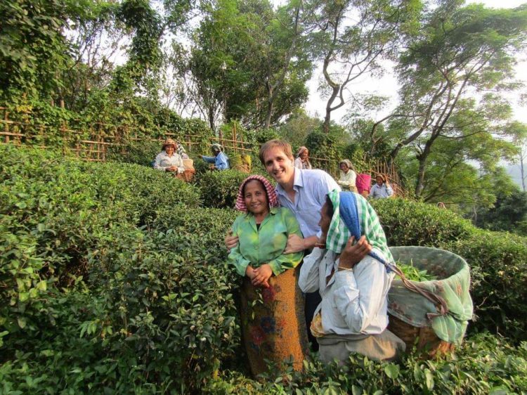 Christophe dans un jardin à thé bio en Inde