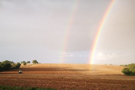 Double arc-en-ciel au dessus des champs des producteurs de Qualisol