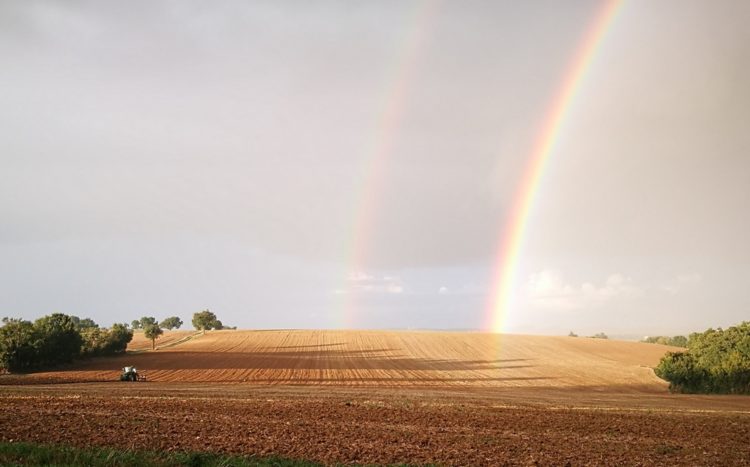 Double arc-en-ciel au dessus des champs des producteurs de Qualisol