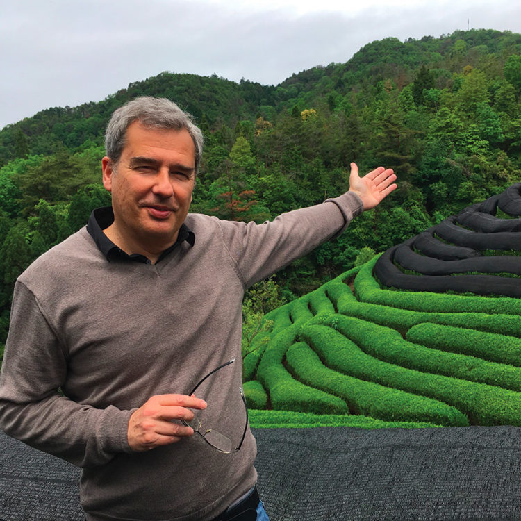 François Cambell devant les jardins de thé bio