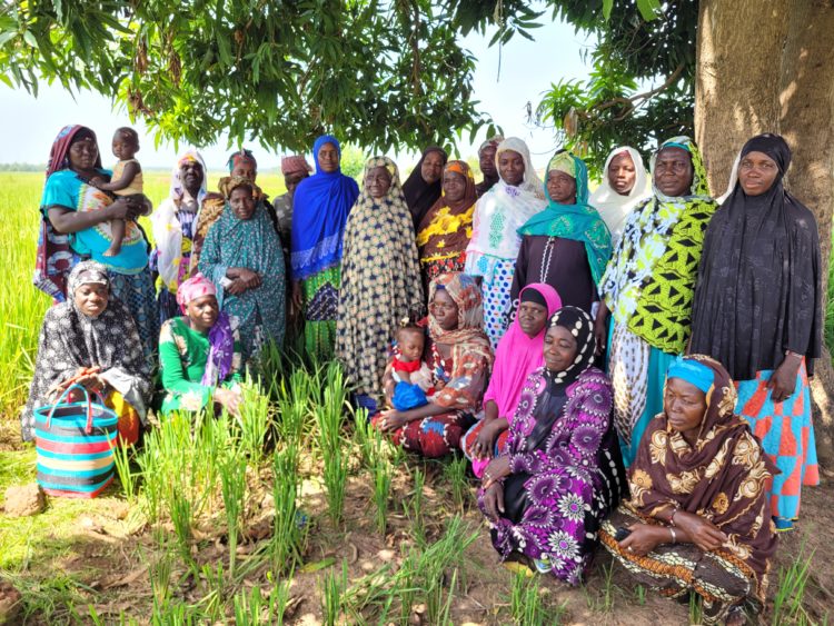 L'association Ingalan défend l' agriculture paysanne au Burkina Faso