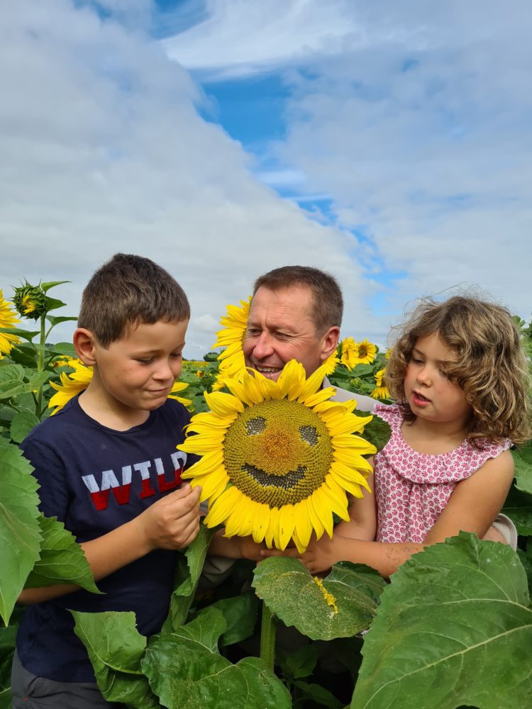 Vincent et les enfants dans un champs de tournesol