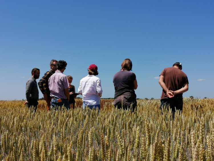 adhérents de la cooperative biocer